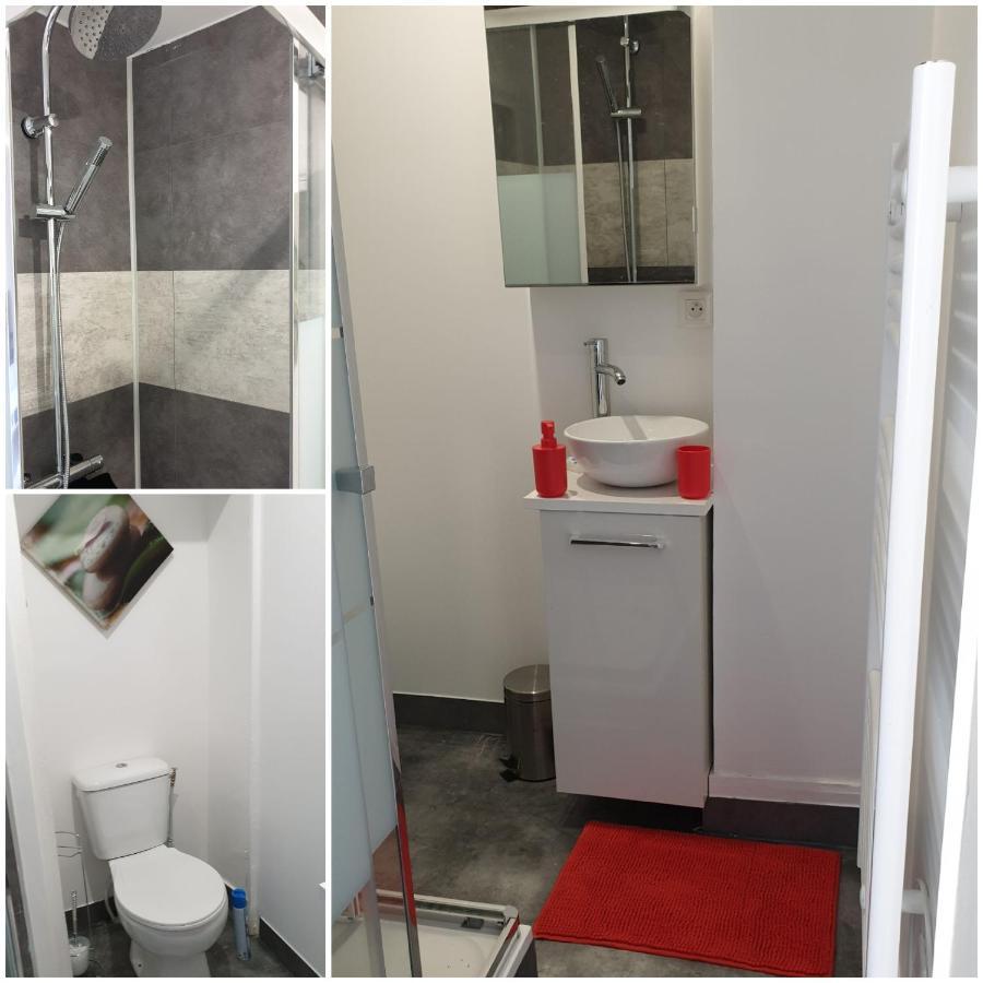 Chambres Poitiers Centre Ville - Salle De Bain, Refrigerateur, Tv Et Machine A Cafe Privatifs - Cuisine Commune - Terrasse - Hotel De Ville A 200M Bagian luar foto
